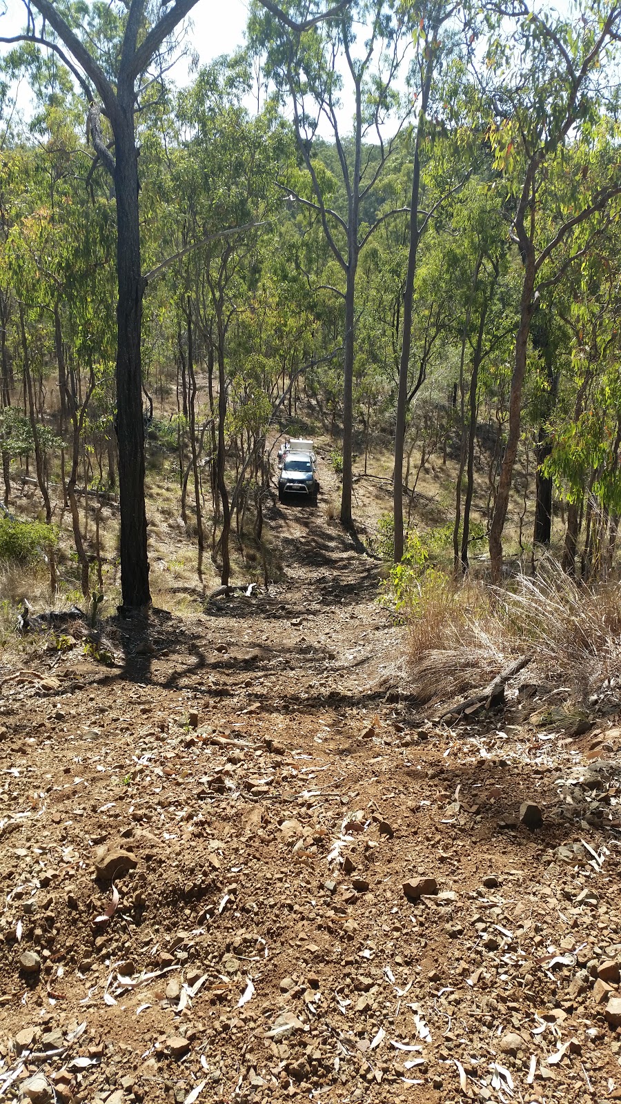 Springbrook Host Farm | 8921 Burnett Hwy, Booubyjan QLD 4601, Australia | Phone: (07) 4168 6185