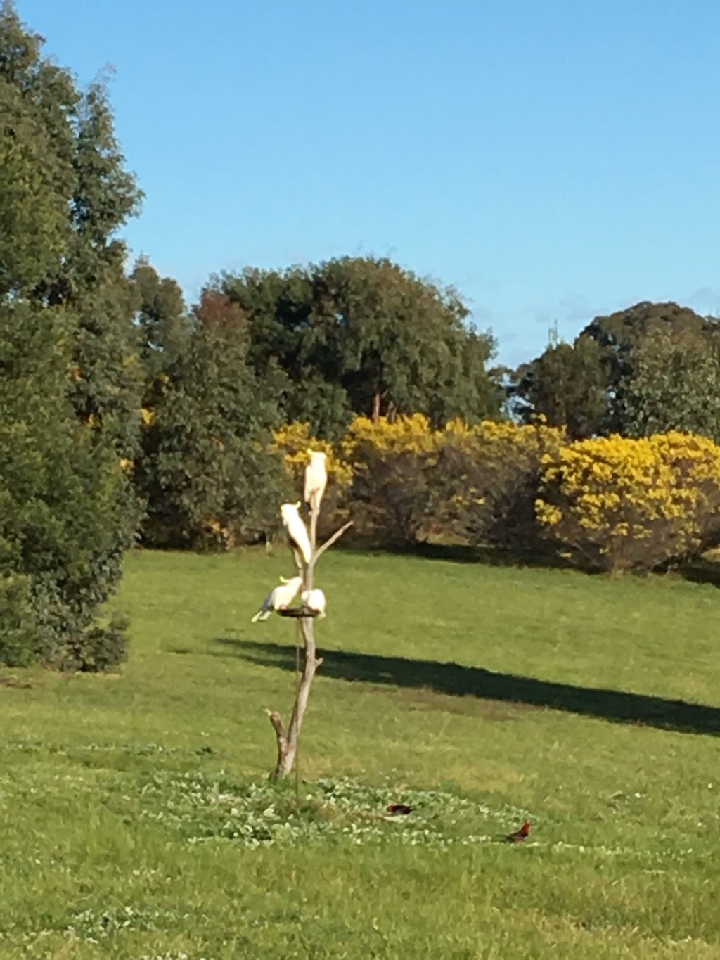 Frog Gully Cottages | 2419 Rosedale-Longford Rd, Longford VIC 3851, Australia | Phone: (03) 5149 7242