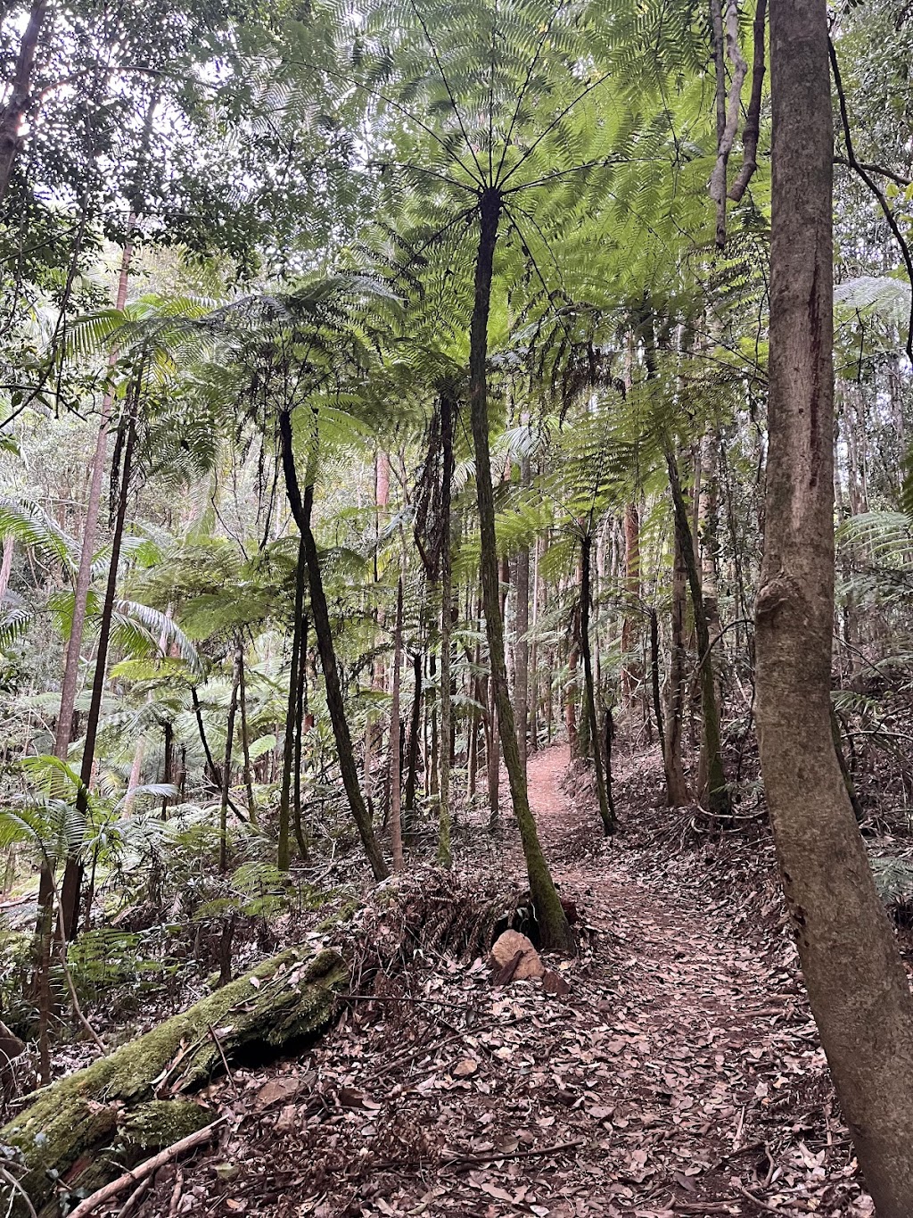 Retreat On Deakin | 808 Deakin Ave, Mildura VIC 3500, Australia | Phone: 0437 101 756