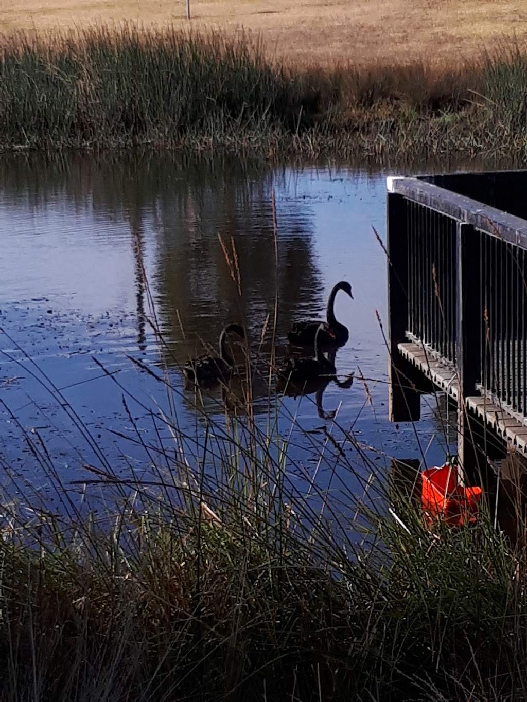 Edenbrook Wetlands and Playground | park | Edenbrook Circuit, Pakenham VIC 3810, Australia