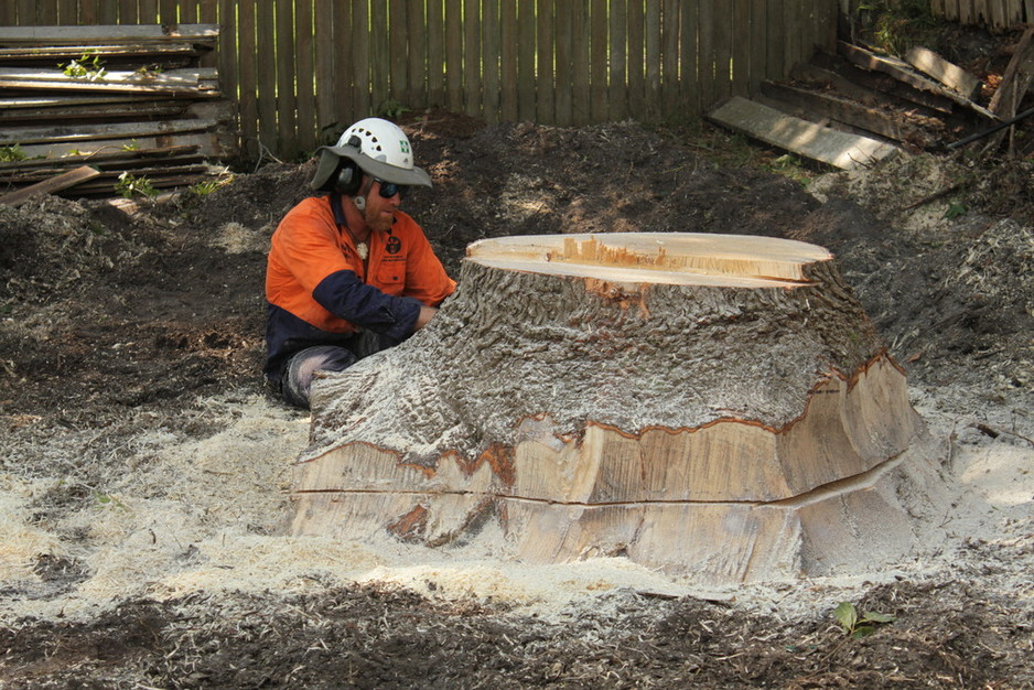 Cutting Edge Tree Maintenance |  | 47 King St, Warners Bay NSW 2282, Australia | 0240034400 OR +61 2 4003 4400