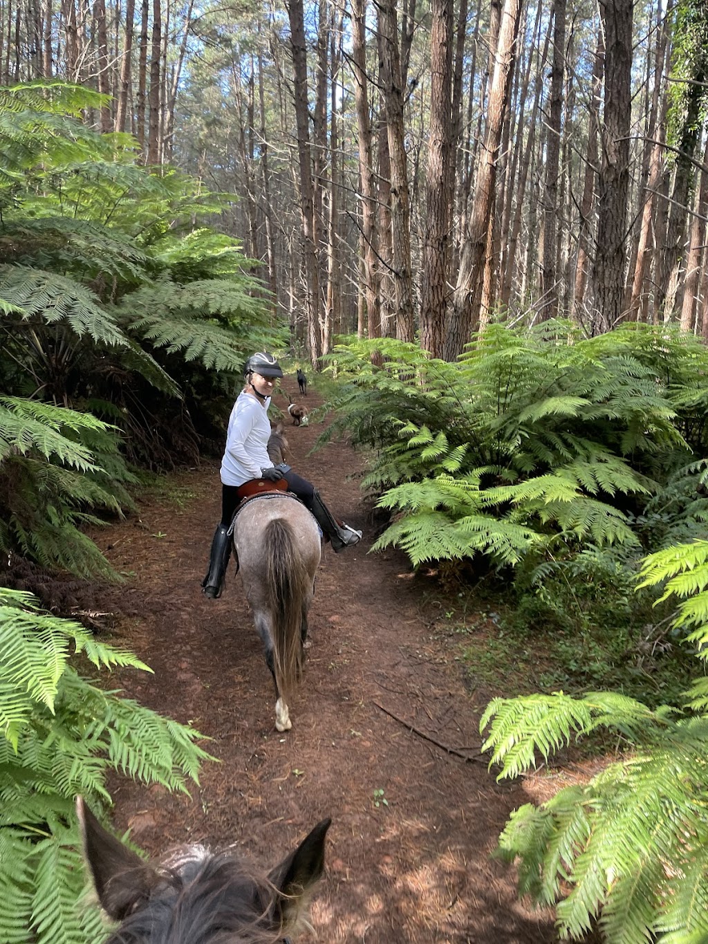 Highlands Equine Trail Adventures ( on your own horse) | 7007 Illawarra Hwy, Moss Vale NSW 2577, Australia | Phone: 0447 224 473
