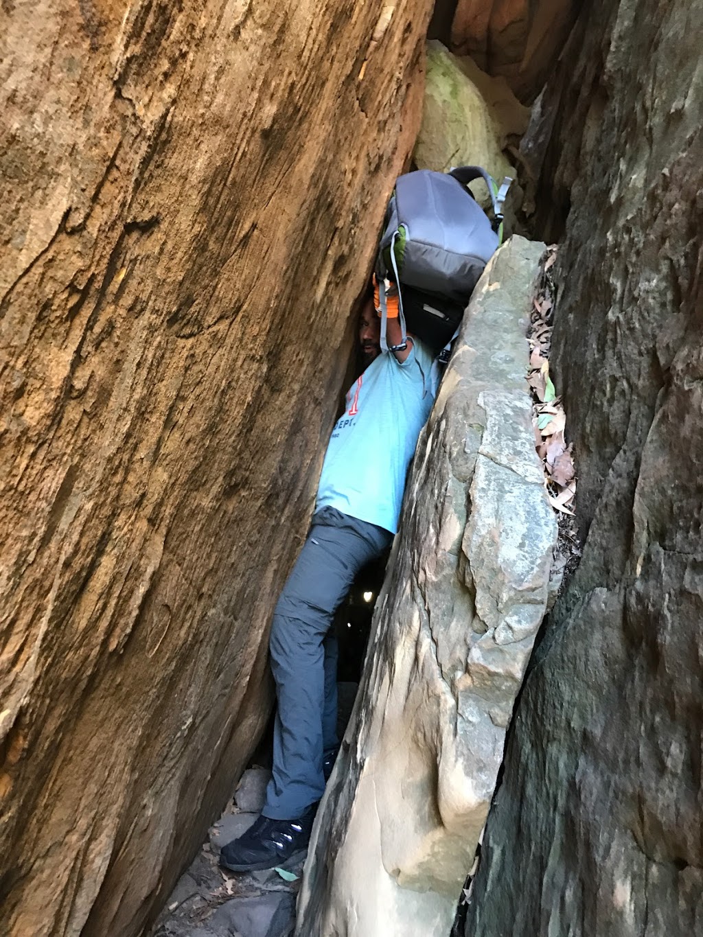 Wells Cave Track | park | Wells Cave Track, Taggerty VIC 3714, Australia