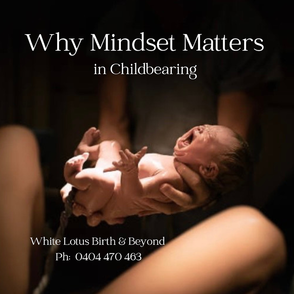 White Lotus Birth and Beyond | Larch St, Tallebudgera QLD 4228, Australia | Phone: 0404 470 463