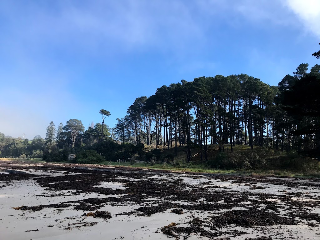 Missionaries of the Sacred Heart - "The Cliffs" |  | 34 Prout Webb Rd, Shoreham VIC 3916, Australia | 0359898777 OR +61 3 5989 8777