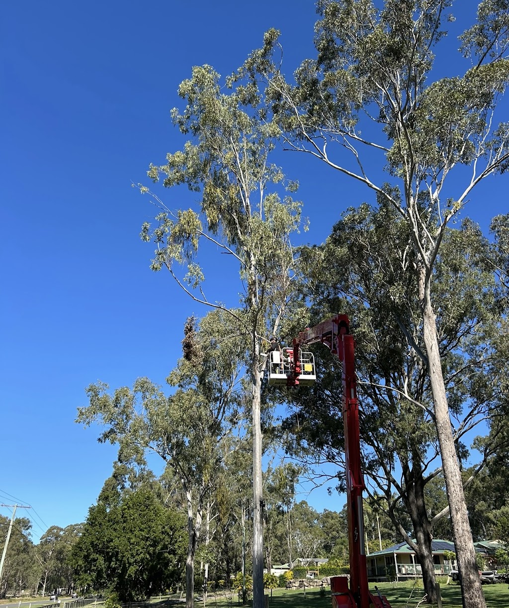 Trees N Terrain | 11 Rosewood Rd, Munruben QLD 4125, Australia | Phone: 0409 243 888