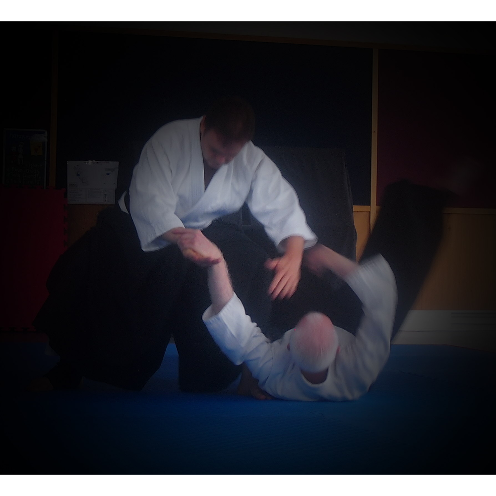 Aikido Warrior Dojo | 14 Alstonia St, Arana Hills QLD 4054, Australia | Phone: 0428 845 297