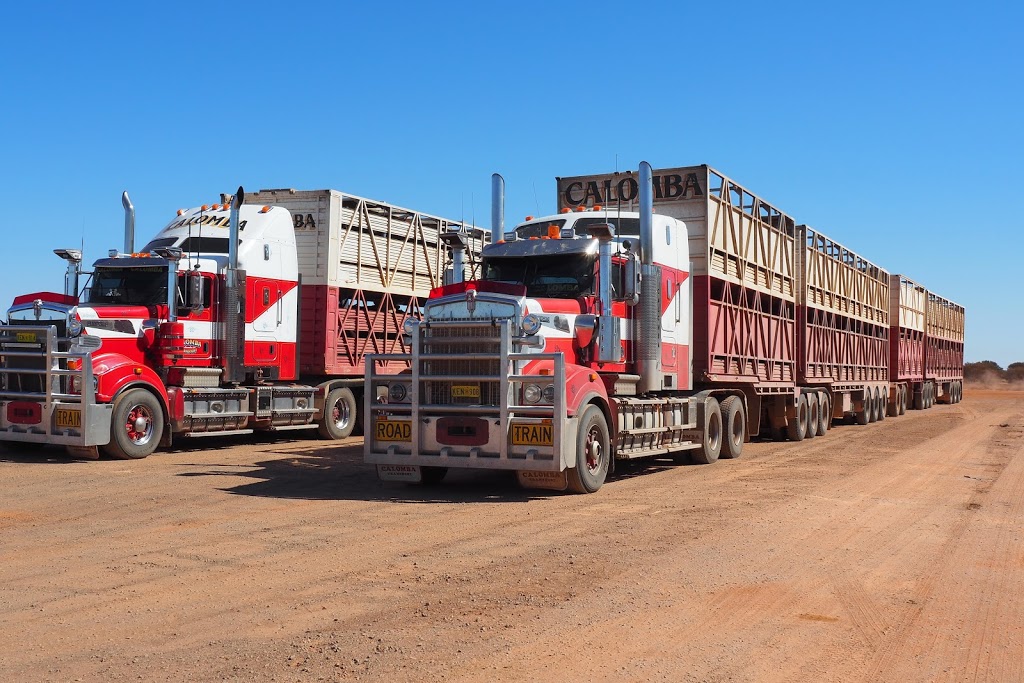Calomba Transport | moving company | Shannon Rd, Calomba SA 5501, Australia | 0885272397 OR +61 8 8527 2397