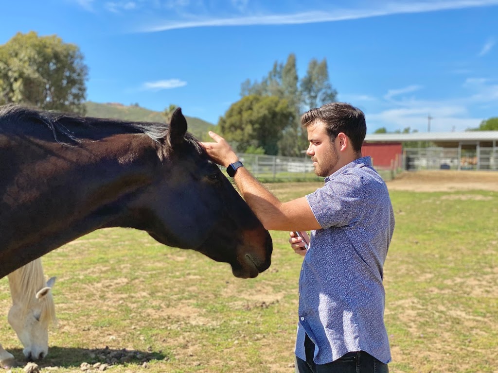 Bundaberg Equine Assisted Therapy & Counselling Services | health | 1932 Gin Gin Rd, South Kolan QLD 4670, Australia | 0458942009 OR +61 458 942 009