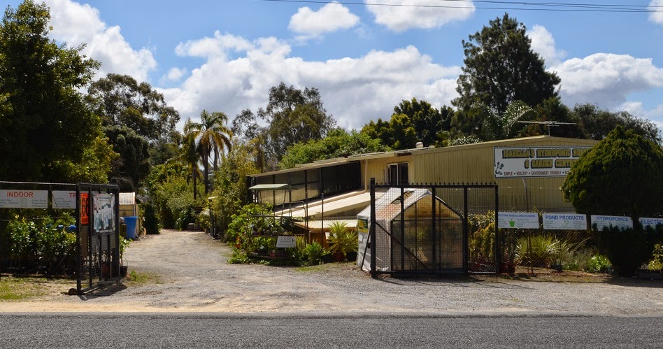 Isabellas Hydroponic Nursery and Garden Centre | 66 Jambanis Rd, Wanneroo WA 6065, Australia | Phone: (08) 9306 3028