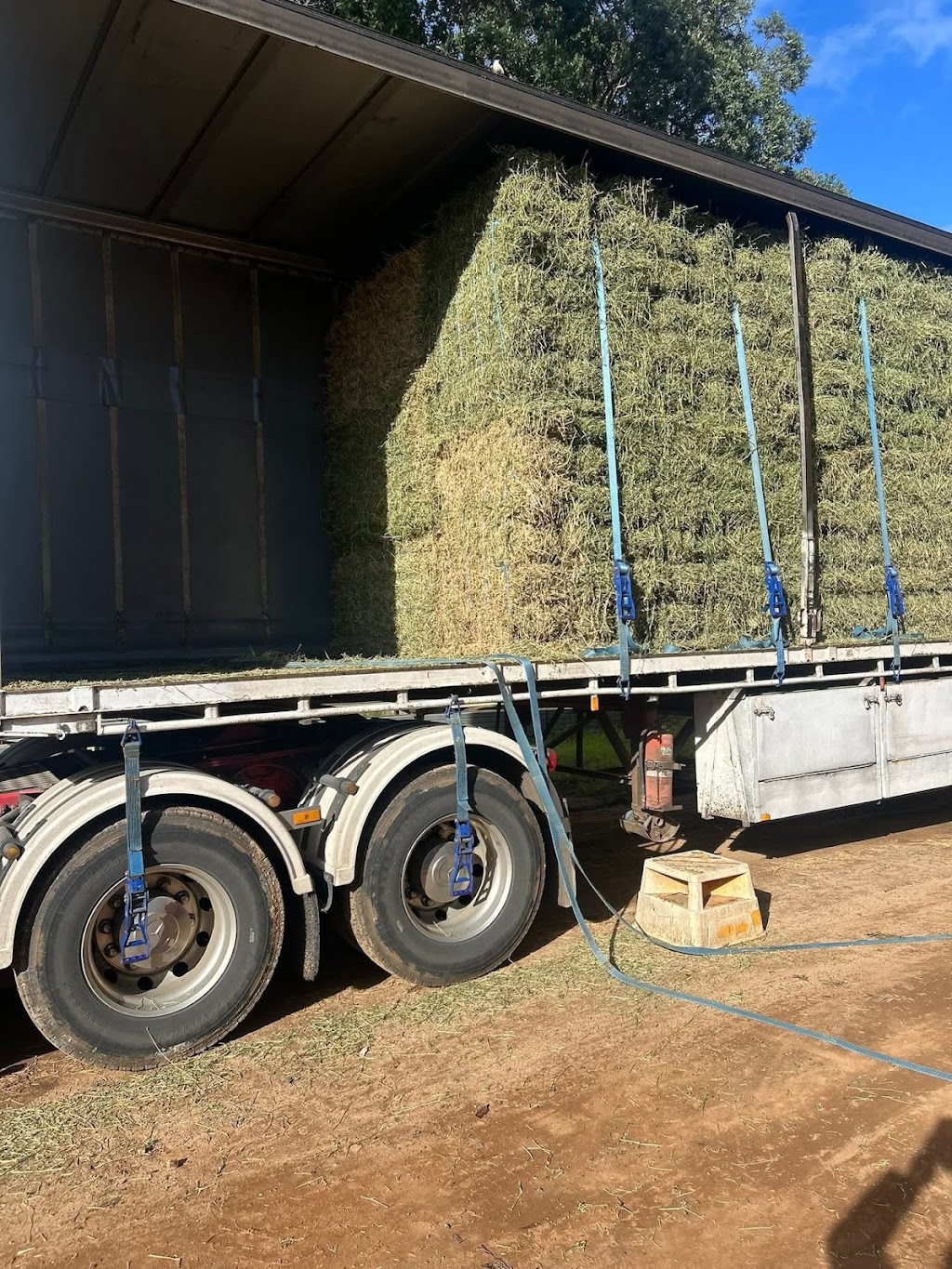 Western Pacific Operations | 3046 Orara Way, Kremnos NSW 2460, Australia | Phone: 0429 456 206