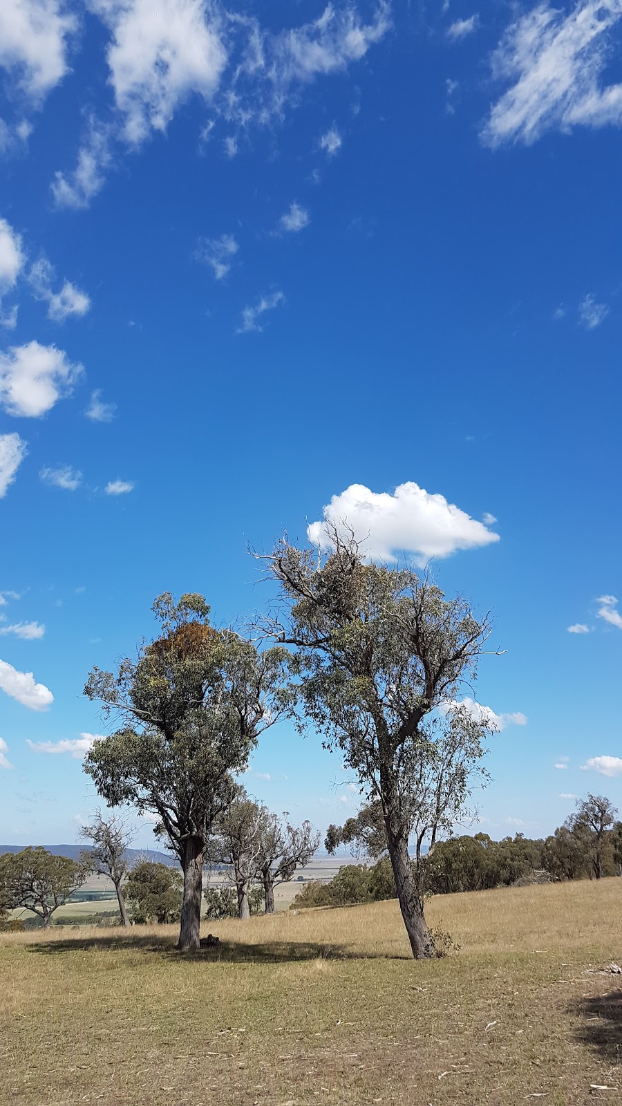 Oakdale Nature Reserve | park | Collector NSW 2581, Australia