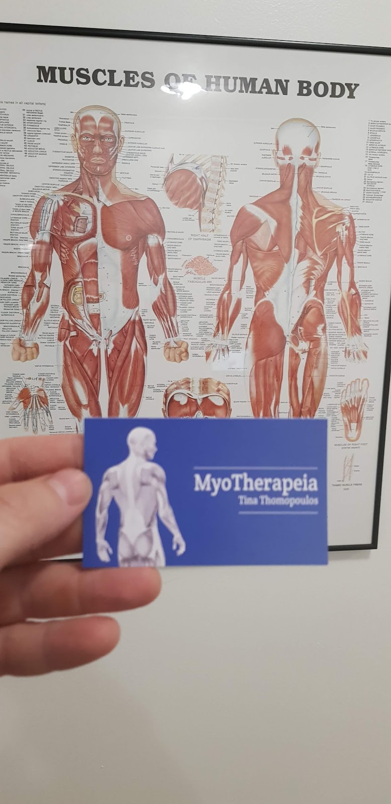 MyoTherapeia | 2/1447 Sydney Rd Located inside Als Gym, Campbellfield VIC 3061, Australia | Phone: 0403 343 144