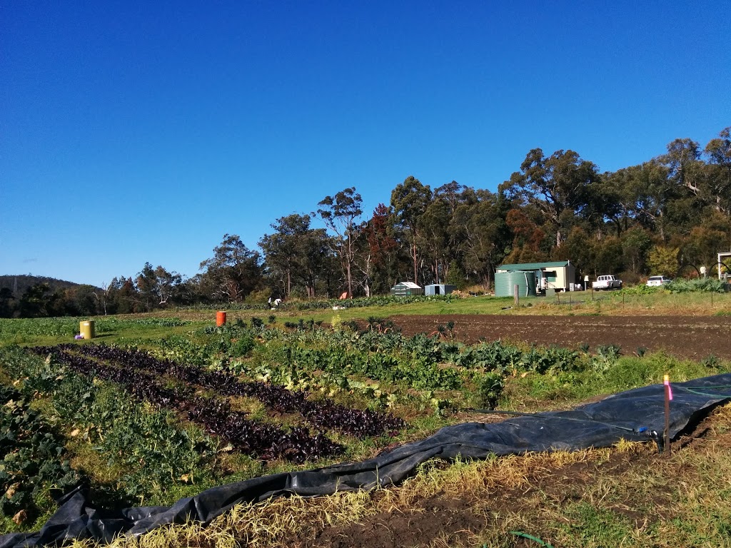 Mangrove Yoga Farm |  | LOT 1 Pembertons Hill Rd, Mangrove Mountain NSW 2250, Australia | 0243771171 OR +61 2 4377 1171