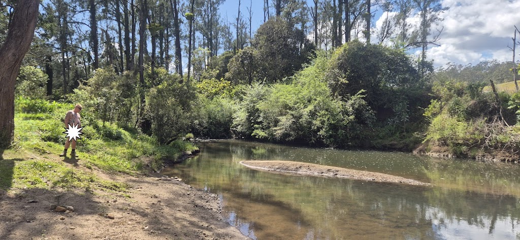 GingerNut Farm | 109 Atkins Rd, Cawongla NSW 2474, Australia | Phone: 0435 007 555