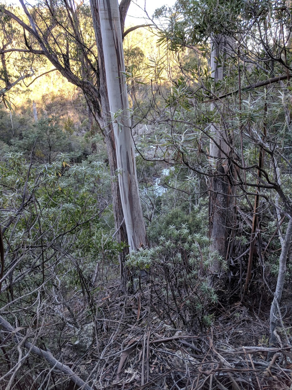 Hardings Falls | Hardings Falls Track, Royal George TAS 7213, Australia