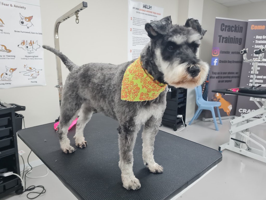 Pawlenes Pooches | 14 Little Chipping Dr, Chirnside Park VIC 3116, Australia | Phone: 0493 729 636