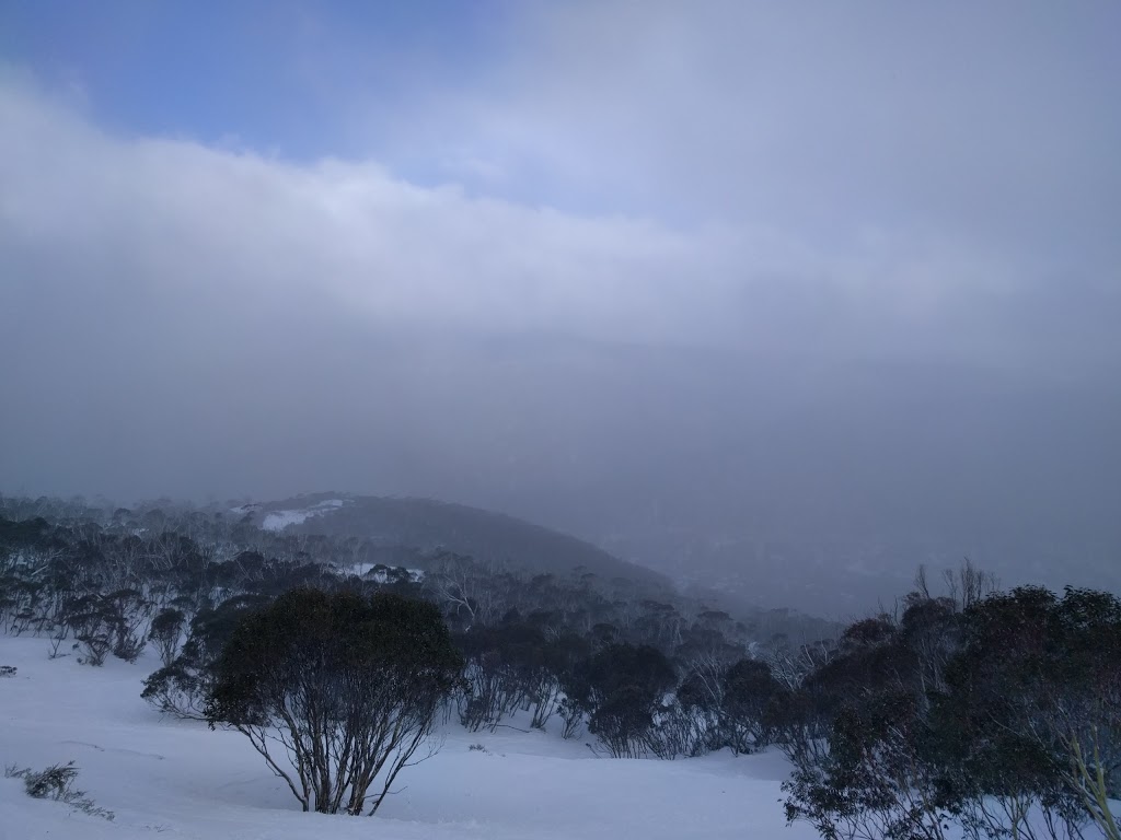 Thredbo Snow Sports School |  | Friday Dr, Thredbo NSW 2625, Australia | 0264594044 OR +61 2 6459 4044