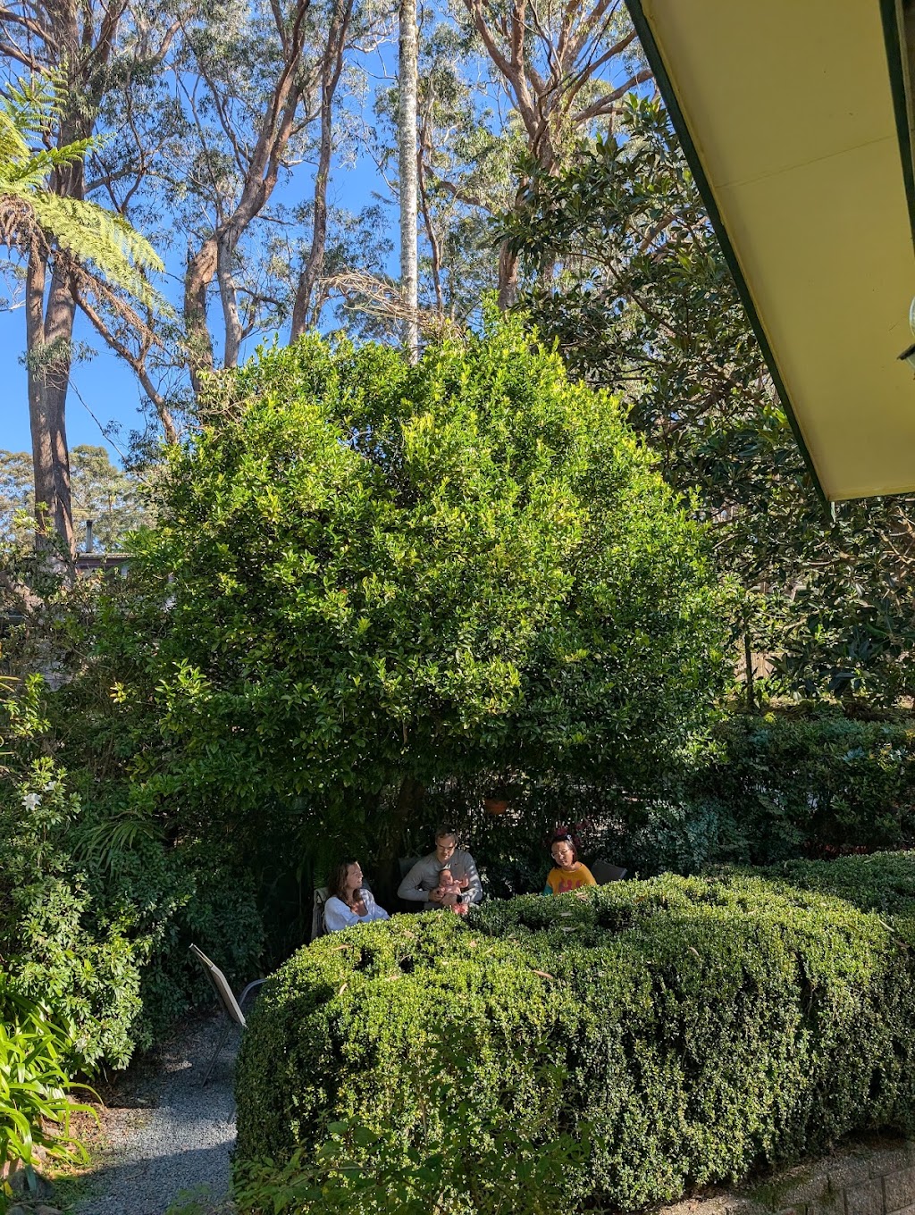 The Sitting Room Cafe | 8 Canyon Parade, Springbrook QLD 4213, Australia | Phone: 0427 682 856