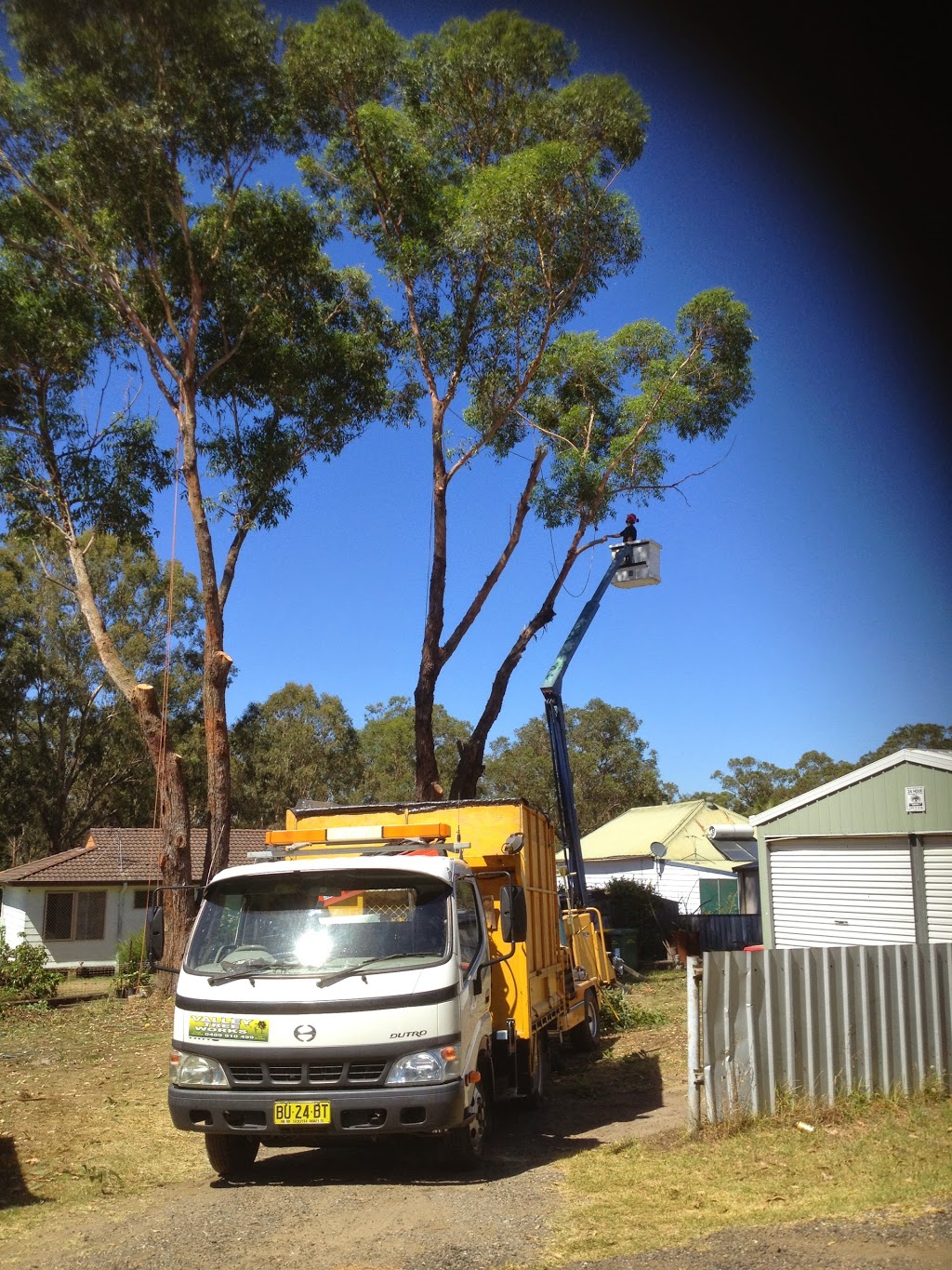 Valley Tree Works pty limited | general contractor | 8 Tocal Rd, Bolwarra Heights NSW 2320, Australia | 0409910499 OR +61 409 910 499