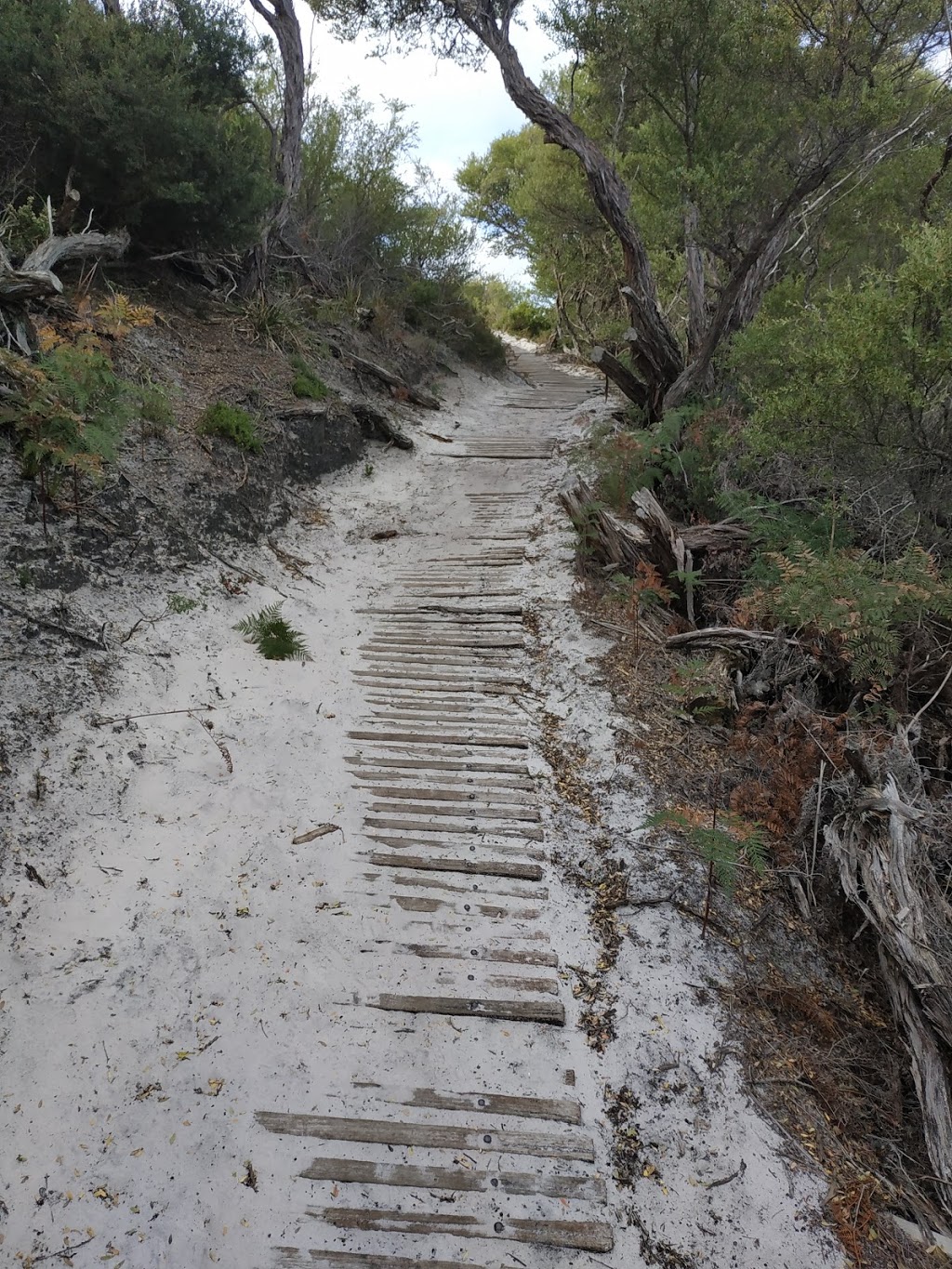 Tidal Overlook viewpoint 2 | Tidal Overlook Circuit, Wilsons Promontory VIC 3960, Australia