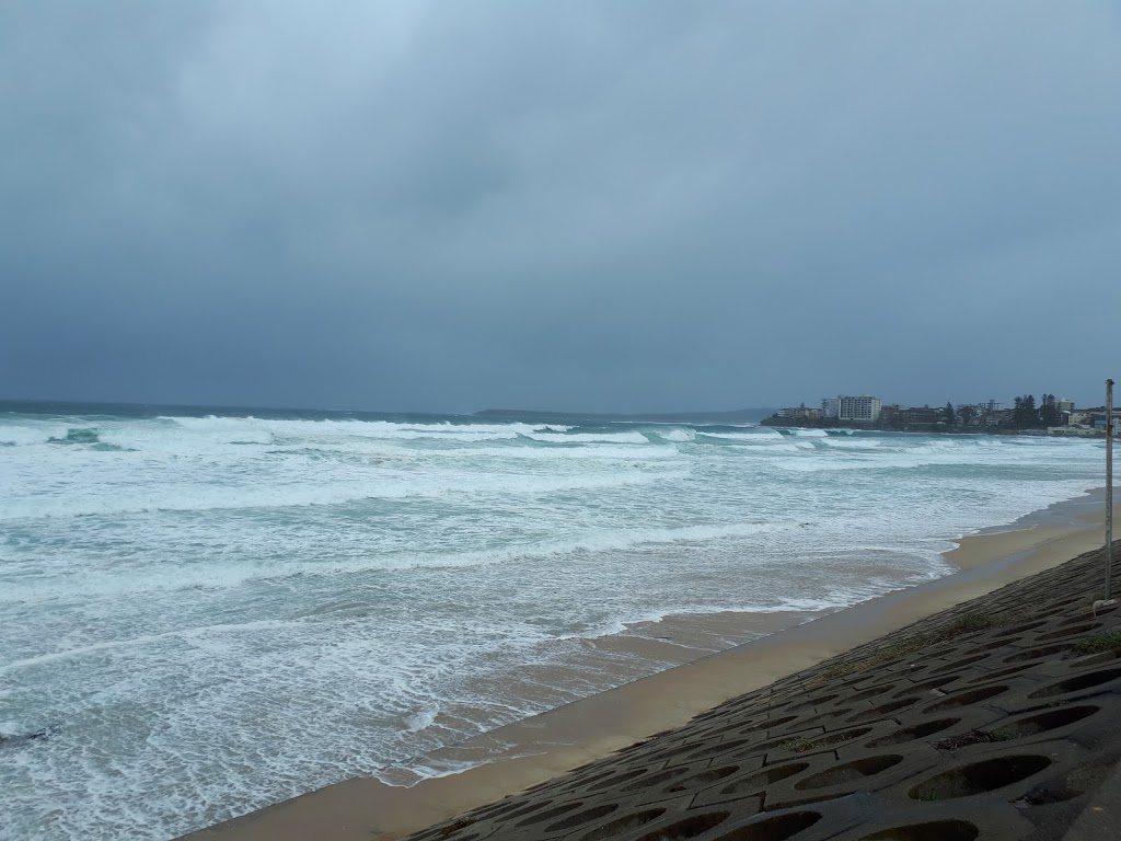 Elouera Surf Life Saving Club | 80 Mitchell Rd, Cronulla NSW 2230, Australia | Phone: (02) 9523 7295