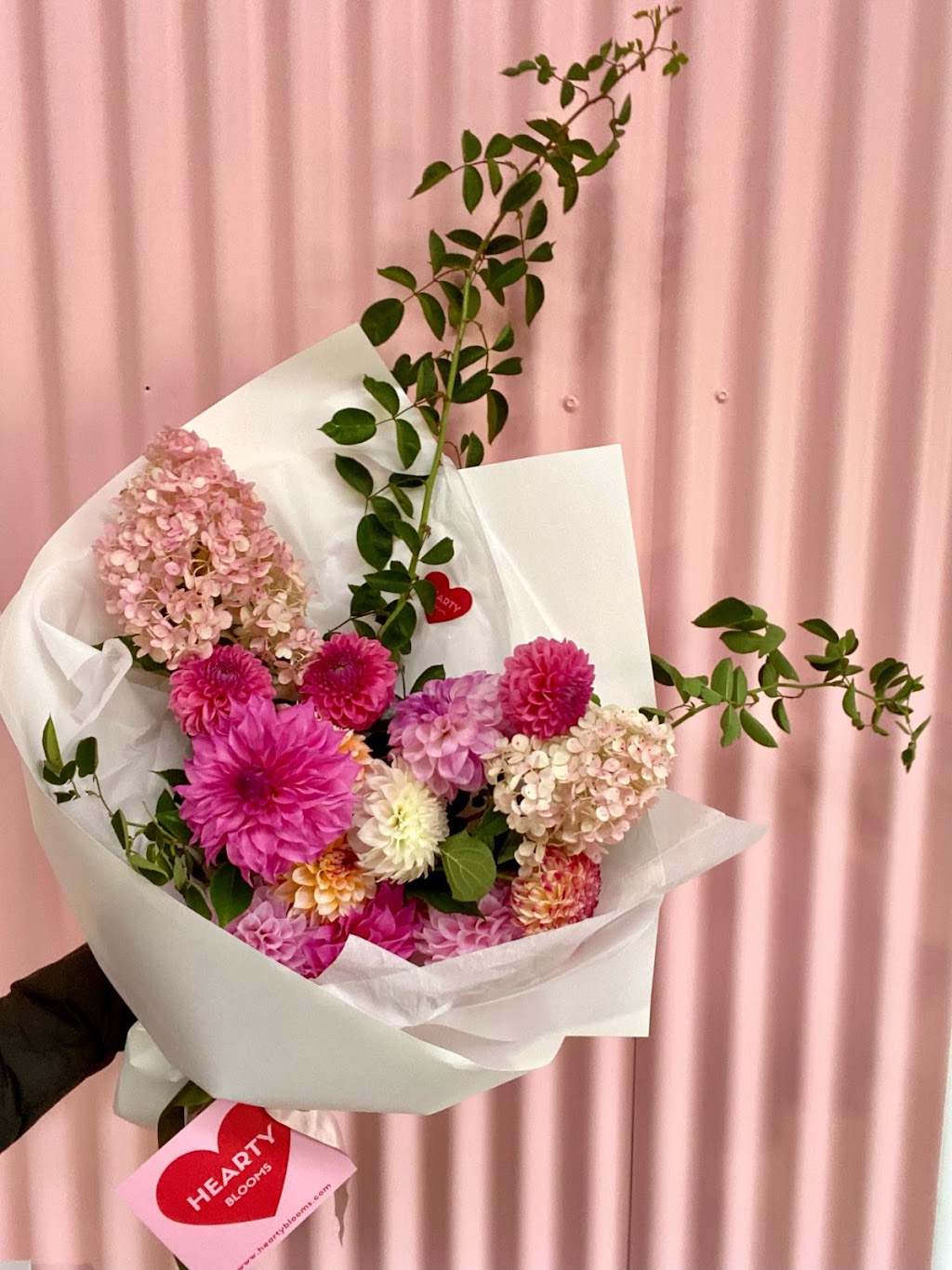 Hearty Blooms | Cargo Rd, Nashdale NSW 2800, Australia | Phone: 0483 148 429