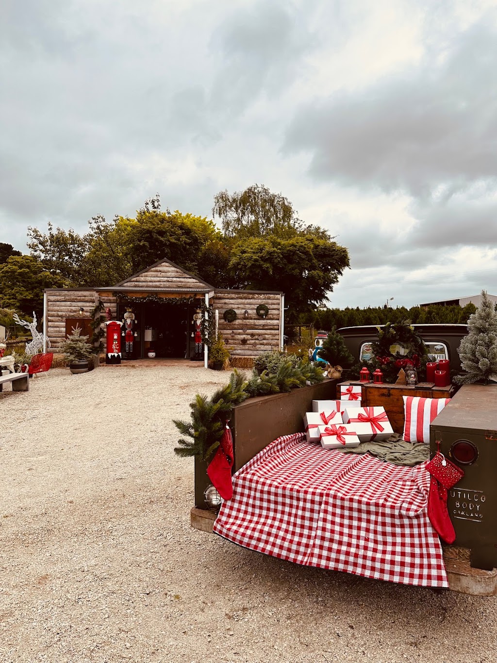 Hynds Pines Christmas Trees | 80 Currie Rd, Drouin South VIC 3818, Australia | Phone: 0438 118 342