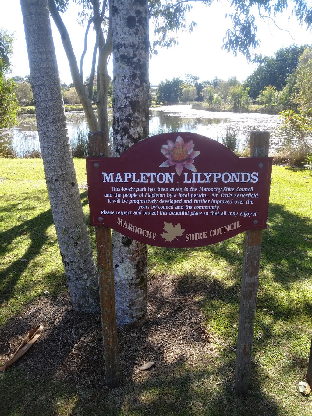 Mapleton Lilyponds | park | Mapleton QLD 4560, Australia