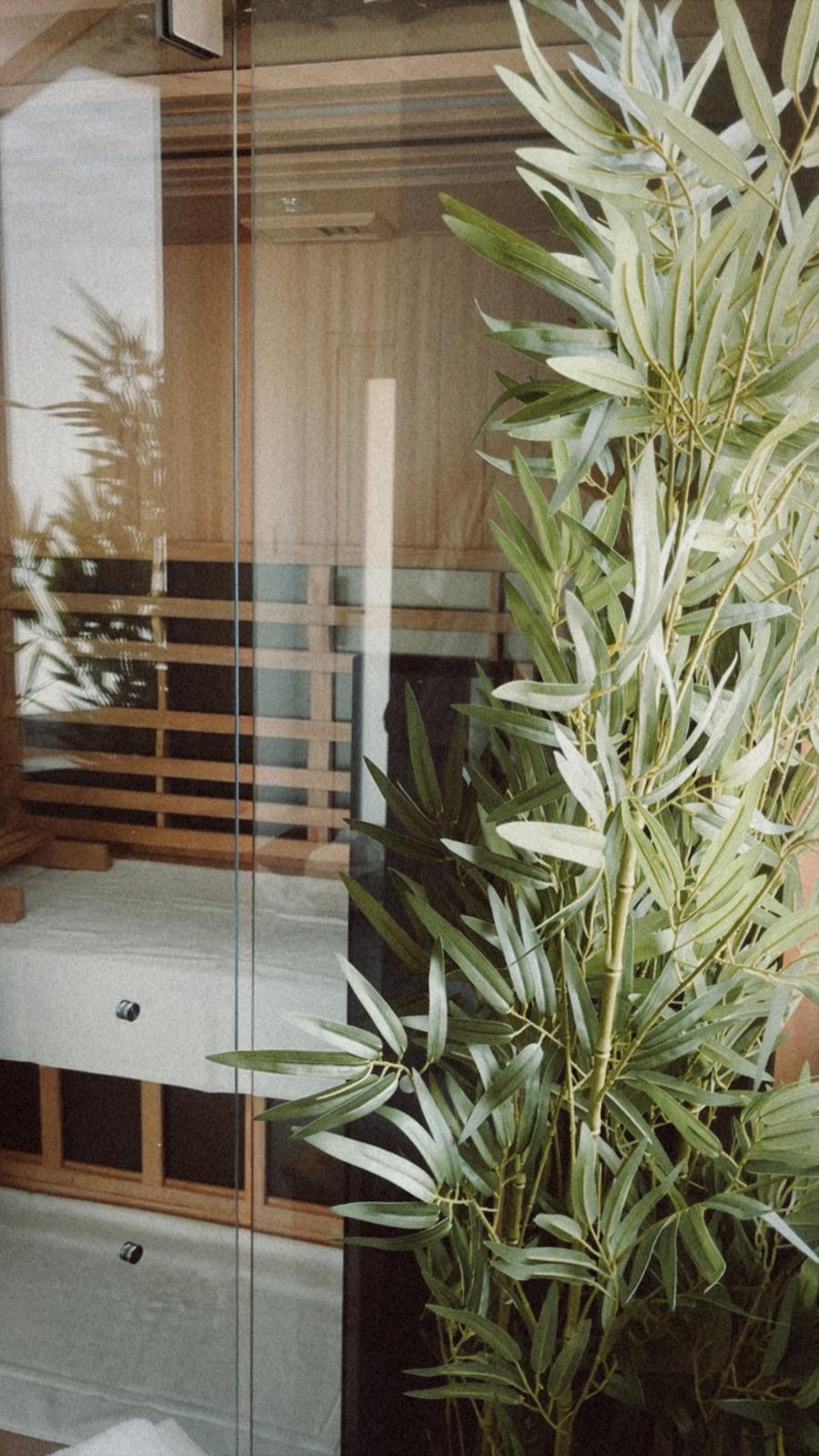 Bridport Wellness Sauna | 11 Therese St, Bridport TAS 7262, Australia | Phone: 0405 533 208