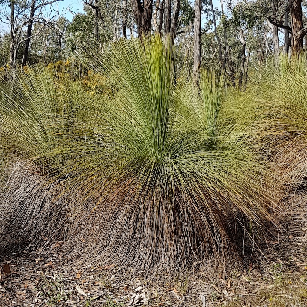 Bert Boardman Recreation Reserve | Steiglitz VIC 3331, Australia | Phone: 13 19 63