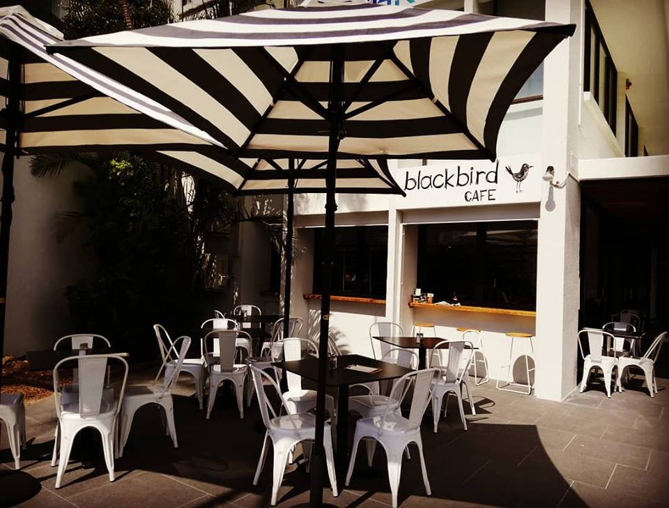 Blackbird Cafe | cafe | 10 Aerodrome Rd, Maroochydore QLD 4558, Australia | 0421615922 OR +61 421 615 922