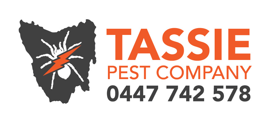 Tassie Pest Company | home goods store | 93 Blackstone Rd, Blackstone Heights TAS 7250, Australia | 0447742578 OR +61 447 742 578