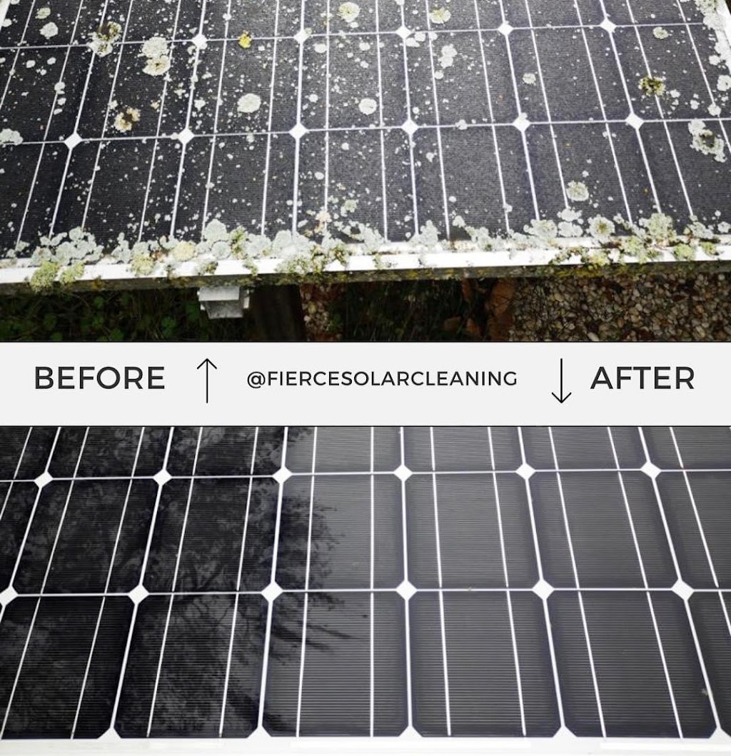 Fierce Cleaning | 43 Hillside Rd, Glass House Mountains QLD 4518, Australia | Phone: 0478 900 875