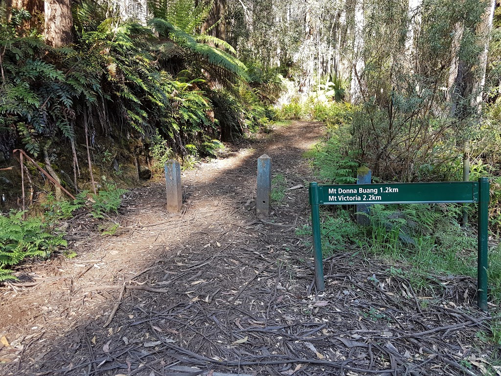 10 Mile Picnic Area | park | 1140 Donna Buang Rd, Warburton VIC 3799, Australia