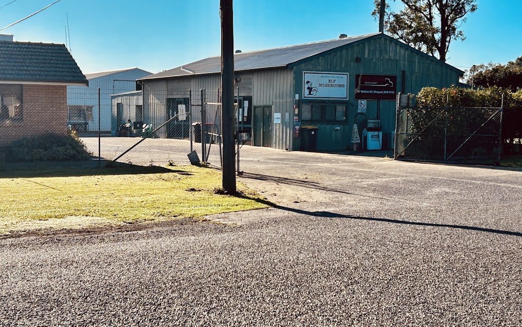 Tolson Transport - Shipping Container Service Sydney | 61 Wallace Rd, Vineyard NSW 2765, Australia | Phone: 0407 730 240