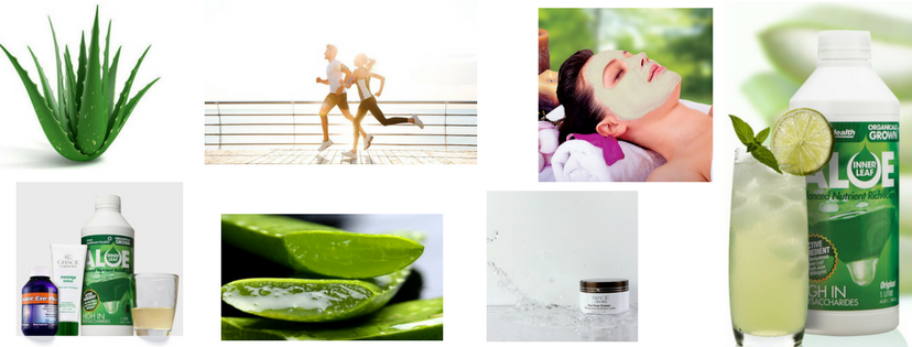 Aloe Vera The Natural Healer | 8 Wattletree Walk, South Morang VIC 3752, Australia | Phone: 0409 555 158