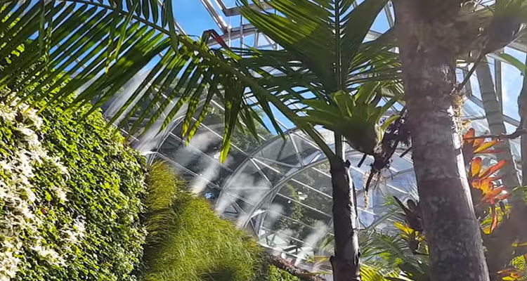 Mistafog | Outdoor Cooling | Misting Systems | Unit 21/70 Bridge St, Picton NSW 2571, Australia | Phone: 1300 244 800