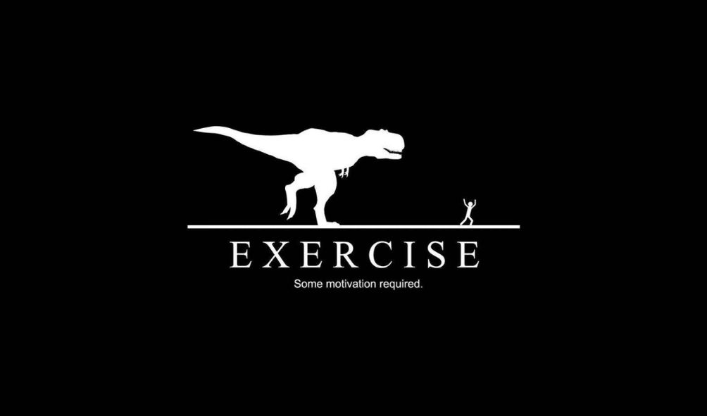 Wright Training And Fitness | 38 Kalimna Dr, Kleinton QLD 4352, Australia | Phone: 0422 195 746