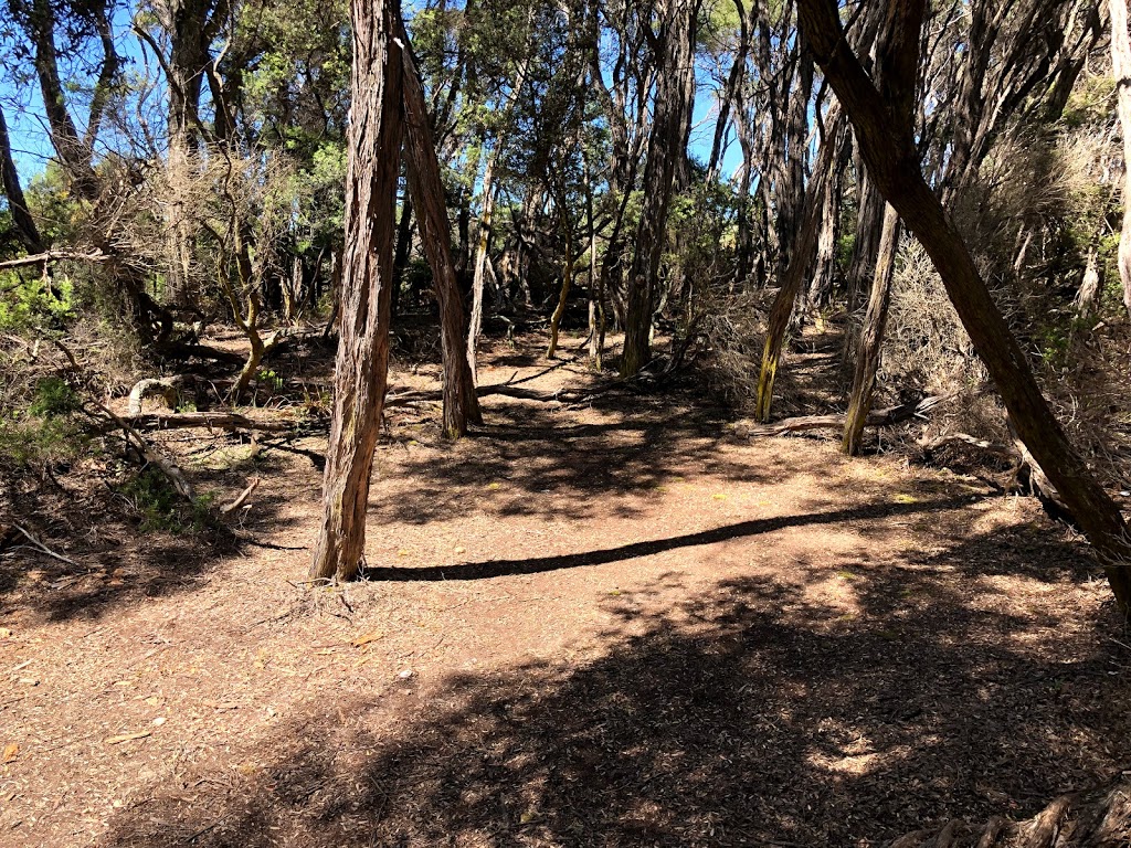 Five Mile Beach Campground | Wilsons Promontory VIC 3960, Australia | Phone: 13 19 63