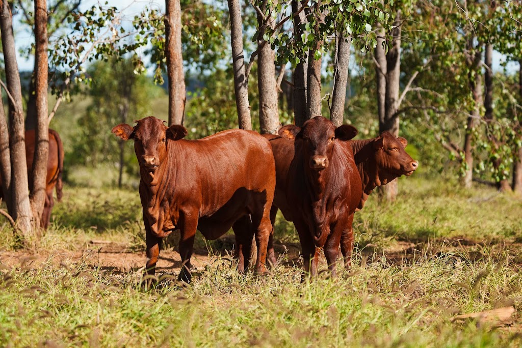 Leichardt Group | 136-138 Northern Rd, Roma QLD 4455, Australia | Phone: (07) 4622 7755