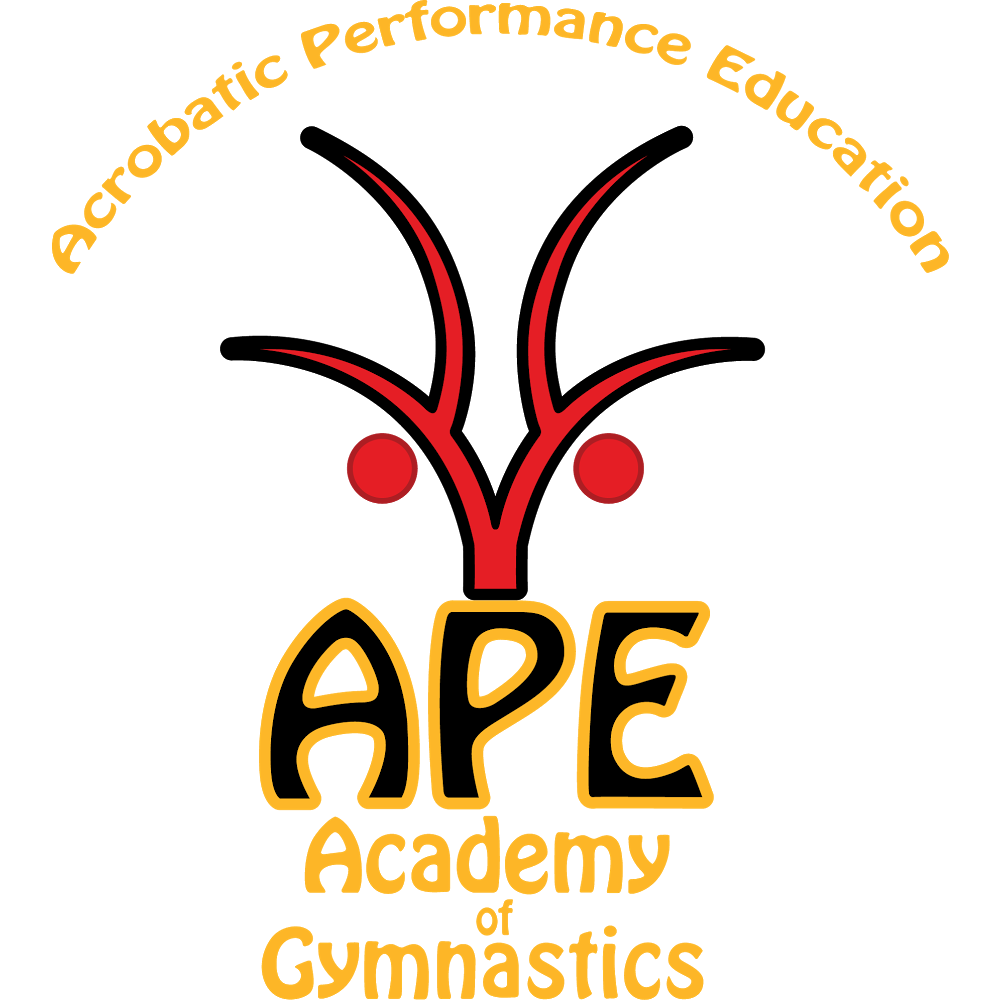 APE Academy of Gymnastics | 227 Catherine St, Leichhardt NSW 2040, Australia