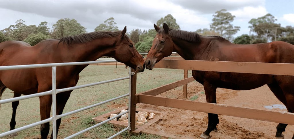 MC Equestrian Riding School | 90 Booralie Rd, Terrey Hills NSW 2084, Australia | Phone: 0433 247 247