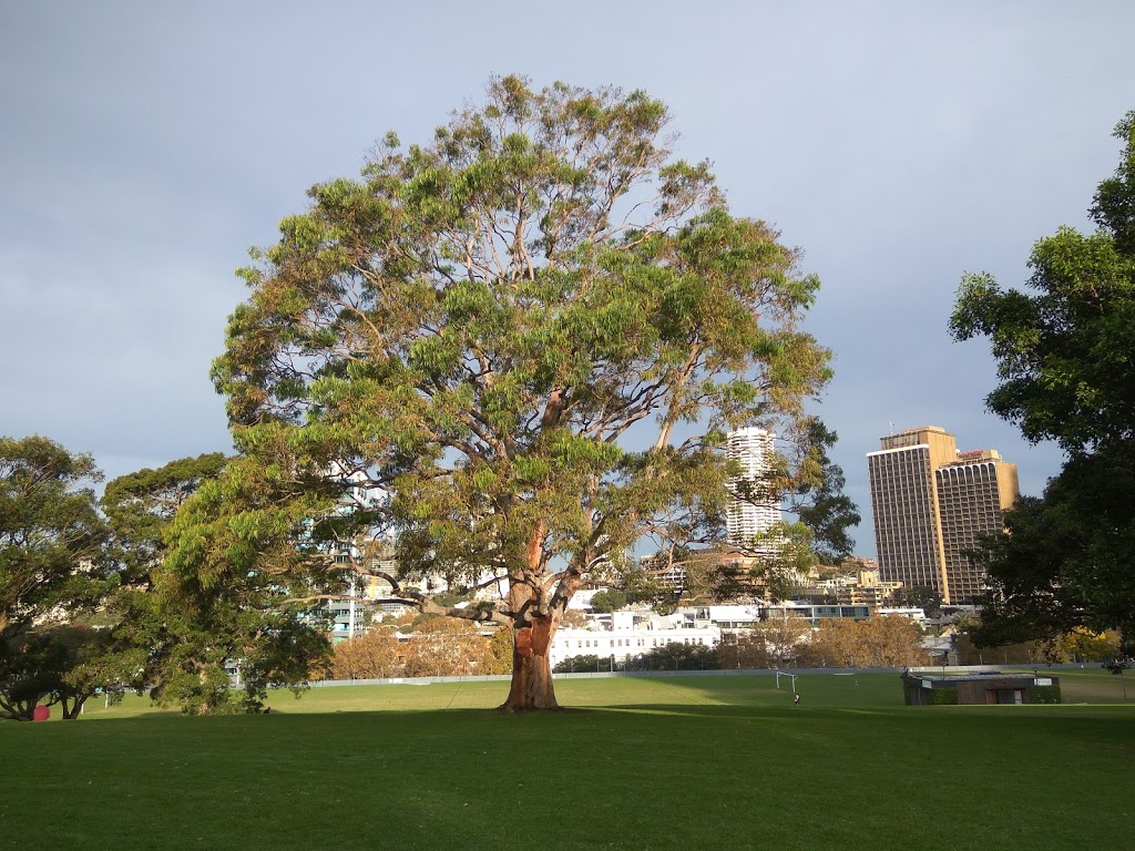 Royal Botanic Gardens & Domain Trust Offices | park | Mrs Macquaries Rd, Sydney NSW 2000, Australia | 0292318111 OR +61 2 9231 8111