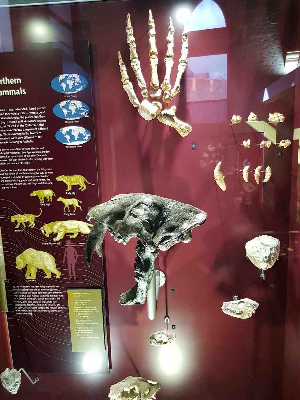 Australian Fossil and Mineral Museum | museum | 224 Howick St, Bathurst NSW 2795, Australia | 0263382860 OR +61 2 6338 2860