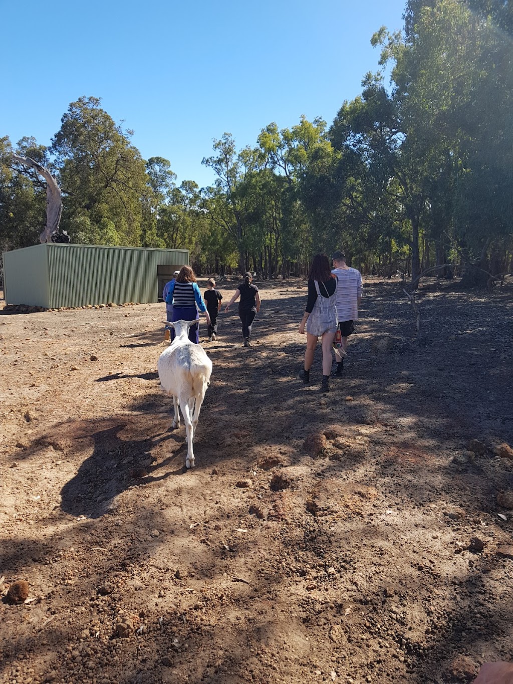 Happy Hooves Farm Sanctuary | 405 Clenton Rd, Gidgegannup WA 6083, Australia | Phone: 0439 976 921