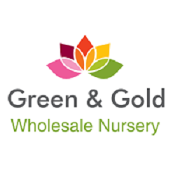 Green & Gold Wholesale Nursery | 164 Vonda Youngman Dr, Tamborine QLD 4270, Australia | Phone: 0400 465 092