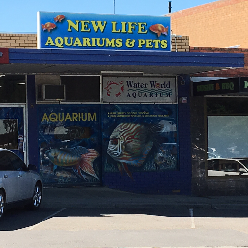 Newlife Aquarium | pet store | 8 Templestowe Rd, Bulleen VIC 3105, Australia | 0398522011 OR +61 3 9852 2011