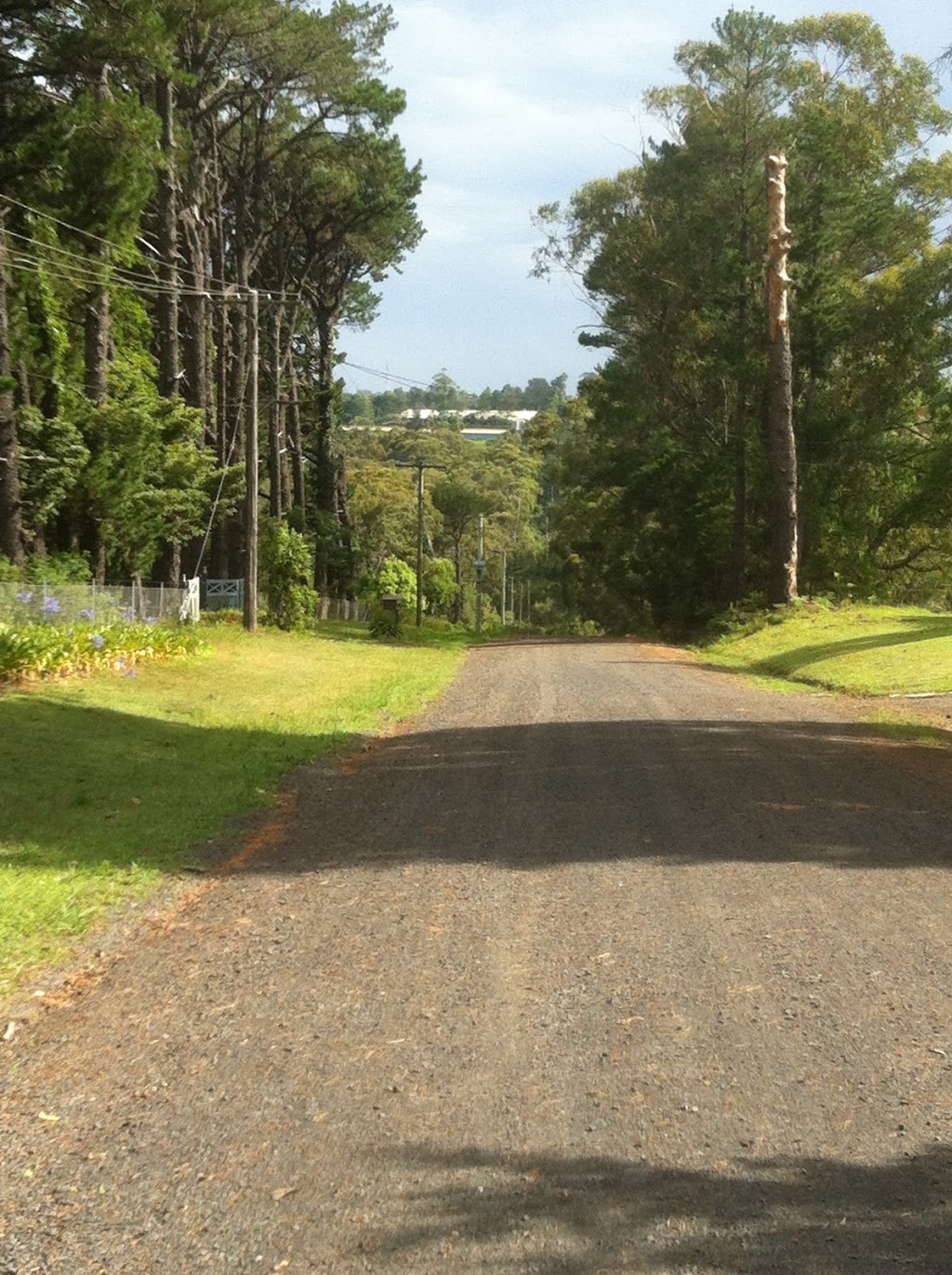 Palm Grove Nature Reserve | Somersby NSW 2250, Australia