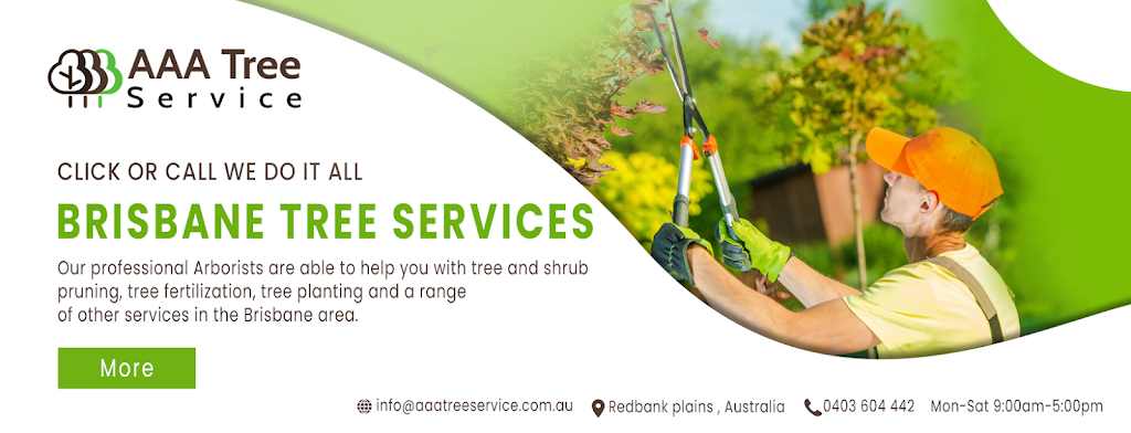 AAA Tree Services |  | 71A Rosemary St, Bellbird Park QLD 4300, Australia | 0423660030 OR +61 423 660 030